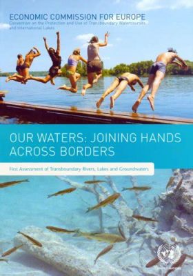  Joining Hands Across Borders: Vietnamese Resilience and Humanity Through Shifting Tides