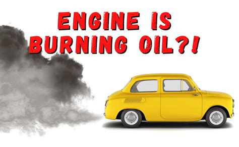 How Do I Know If My Car Is Burning Oil: And Why Does My Cat Stare at the Engine?